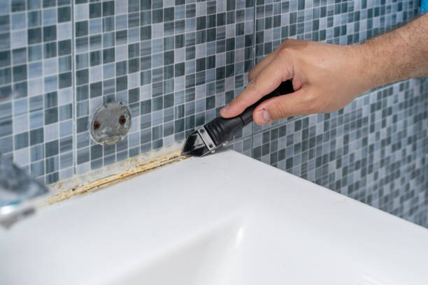 Reliable Oswego, NY Mold Remediation Solutions